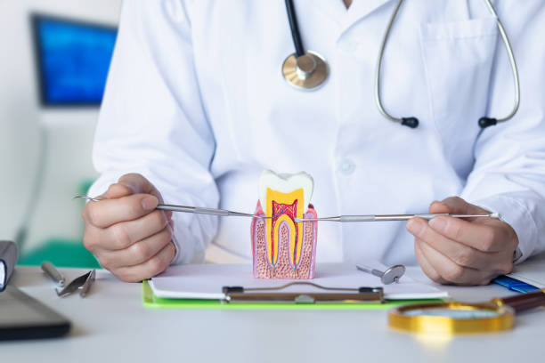 Best Chipped Tooth Repair Near Me  in Roosevelt, NJ